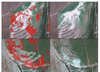 Salt-affected soils and waterlogging on irrigation schemes