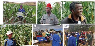 Subsistence to Abundance – landboubesighede en hul betrokkenheid by opheffing