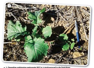 Saadprobleme onder die loep