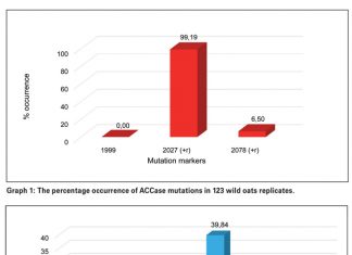 Target-site resistance in wild oats