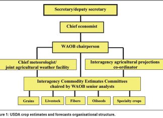 Understanding USDA crop estimates and forecasts