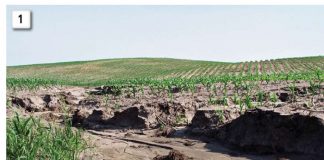 Waterbestuur in presisie- en bewaringsboerdery