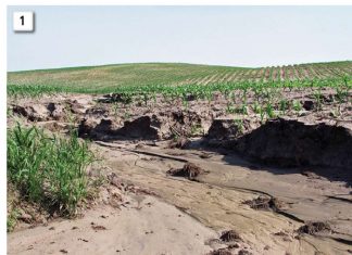 Waterbestuur in presisie- en bewaringsboerdery