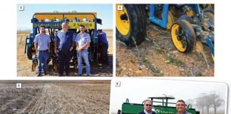 Wes-Kaapse graanproduksie kry ‘n hupstoot met navorsing