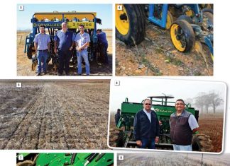 Wes-Kaapse graanproduksie kry ‘n hupstoot met navorsing