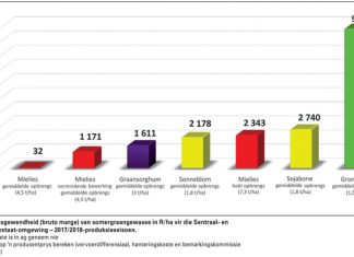 Winsgewende mielieproduksie feitlik onmoontlik teen huidige lae mieliepryse