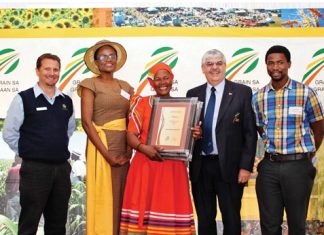 Dreams, dedication and hard work the recipe for success