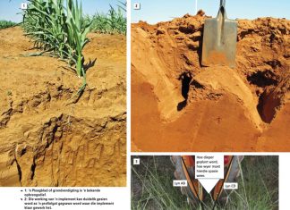 Die stil opbrengsdief wat soms ‘n ander baadjie dra