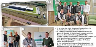 Global research network ensures better hybrids