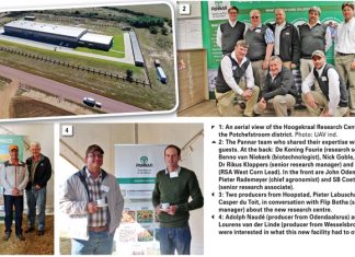 Global research network ensures better hybrids