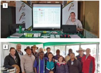 Graan SA netwerk wyd en syd