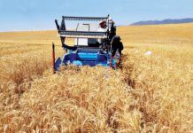 Nuwe stikstofnorme vir die Wes-Kaap