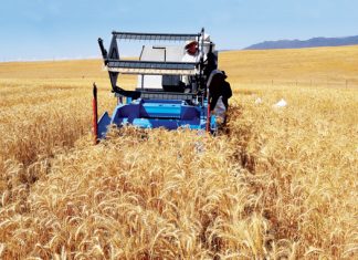 Nuwe stikstofnorme vir die Wes-Kaap