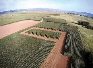 Weeg insetkoste op teenoor opbrengs