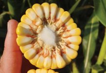 Wees heeljaar aktief in jou lande