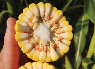 Wees heeljaar aktief in jou lande