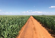 Danie-hulle wil elke dag beter boer as gister