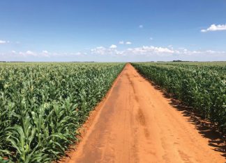Danie-hulle wil elke dag beter boer as gister