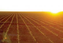 Hy leef sy passie vir landbou ten volle uit