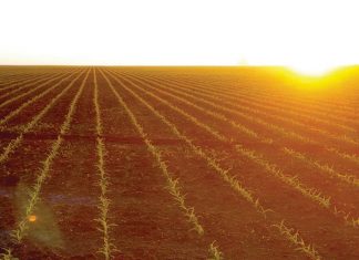 Hy leef sy passie vir landbou ten volle uit