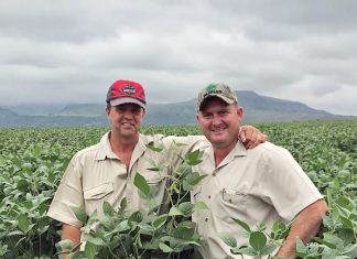 Tydigheid die sleutel tot sukses