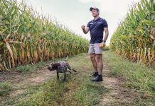 Imitate nature and success will follow