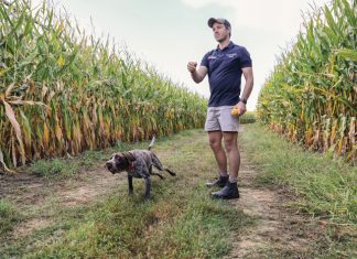 Imitate nature and success will follow