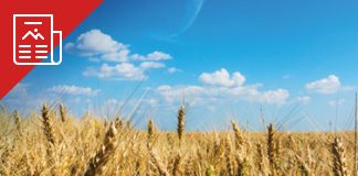 Belangrike informasie