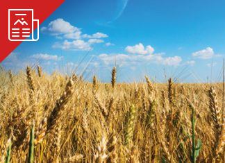 Belangrike informasie