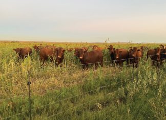 Benut die natuur se gratis dienste