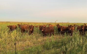 Benut die natuur se gratis dienste