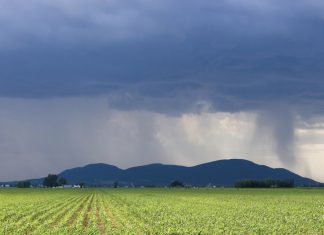 Klimaatsverandering – wat produsente moet weet