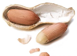 Grondboonverwerkers funksioneer voortaan ook as invorderingsagente