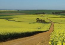 Proewe toon invloed van klimaat op opbrengs