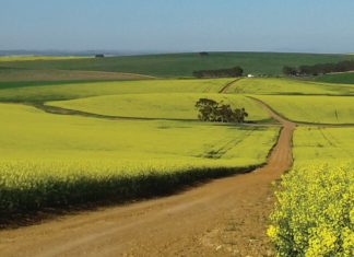 Proewe toon invloed van klimaat op opbrengs