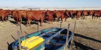 Veterinêre strategie is belangrik vir jou