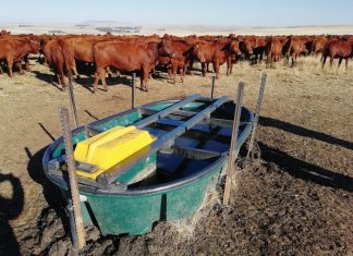 Veterinêre strategie is belangrik vir jou