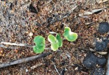 Lesse geleer in 2020 en wenke vir die nuwe seisoen