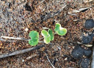 Lesse geleer in 2020 en wenke vir die nuwe seisoen