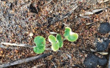 Lesse geleer in 2020 en wenke vir die nuwe seisoen