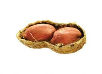 Grondbone: Dit gaan oor graad en verbruik