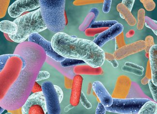 Biologiese biostimulante het “reuse-impak”