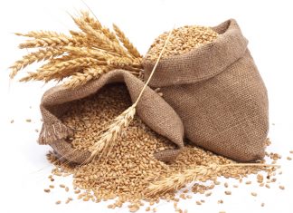 Wintergraan – so lyk saadpryse in 2021