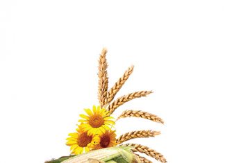 Bedrywe lig brandpunte uit