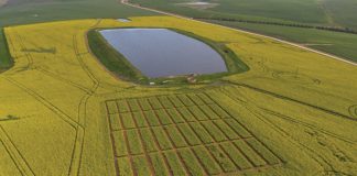 Stratifikasie van grond-pH in die Wes-Kaap ondersoek