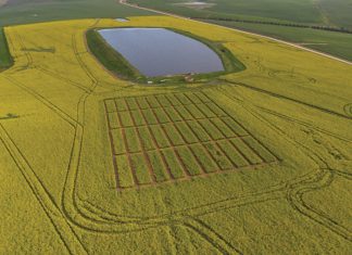 Stratifikasie van grond-pH in die Wes-Kaap ondersoek