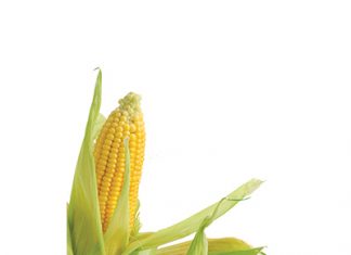 Graanpryse – waar lê risiko’s vir die nuwe seisoen?