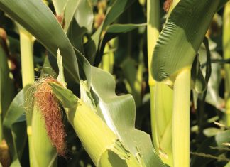 Scenario planning assists with better decision making