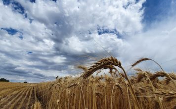 Making an everyday moment a masterpiece