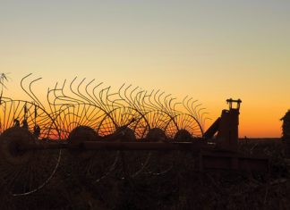 Wes-Kaapse prysopnames wys groot verskille uit